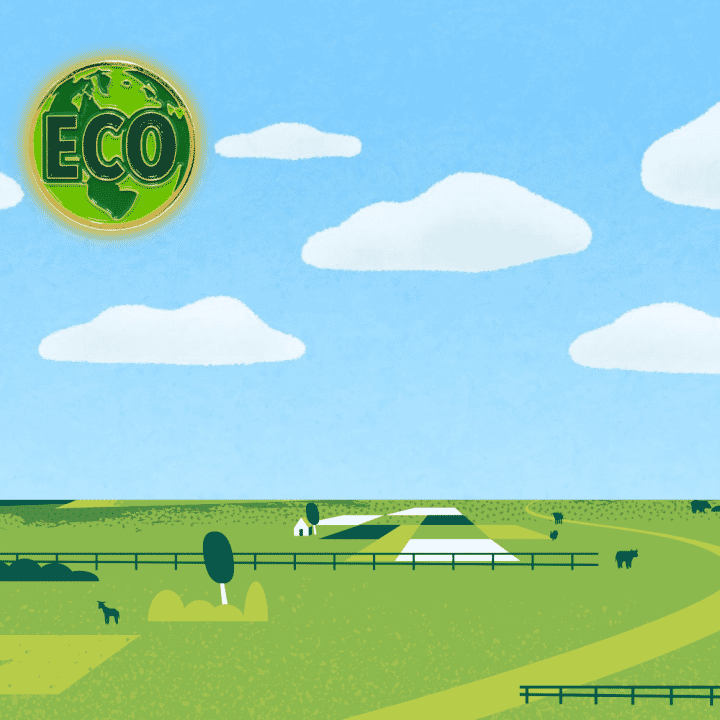 How to Create a Green Classroom All Year Round