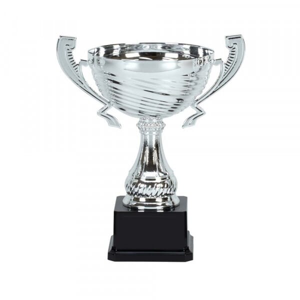 Trophy: Silver Cup (25cm)
