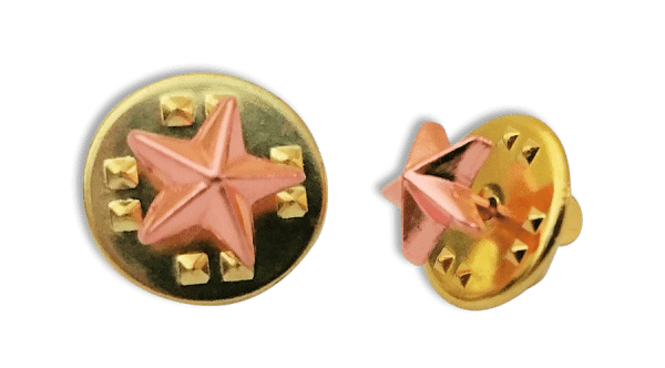 Badge: Bronze Star- 8mm Enamel