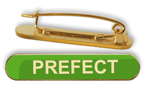 Badge: Prefect Bar Green - Enamel