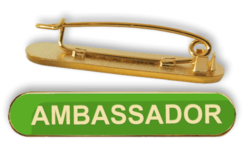 Badge: Ambassador Bar Green - Enamel