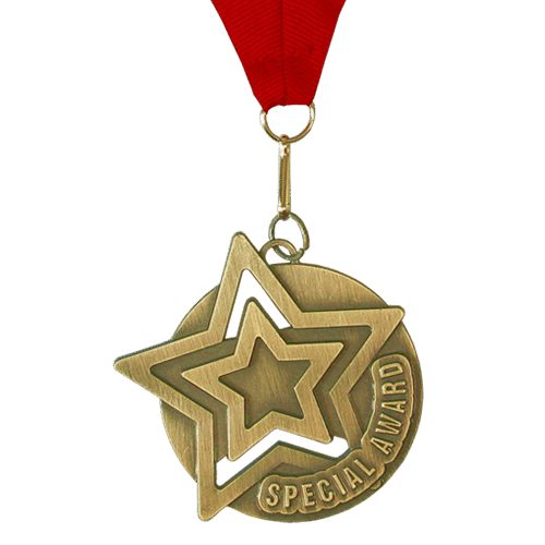 Medal: Special Award - Gold