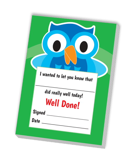 Notepad: A6 Owl