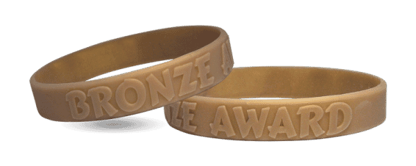 Wristband: Bronze Award - Silicone